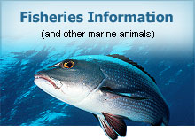 Fisheries Information