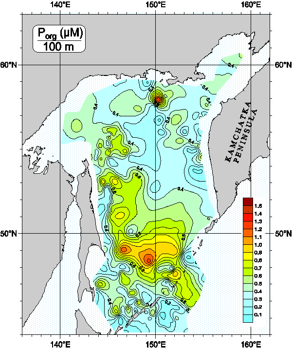 Okhots Sea. Organic Phosphorus distribution at 100m