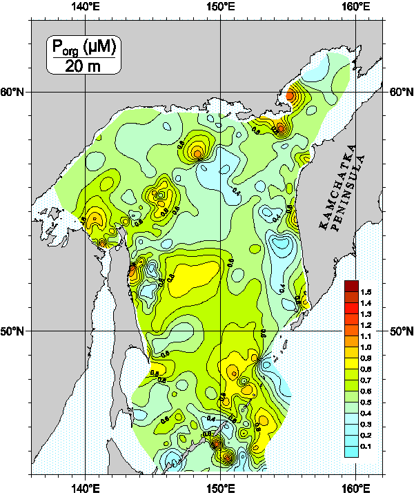 Okhots Sea. Organic Phosphorus distribution at 20m