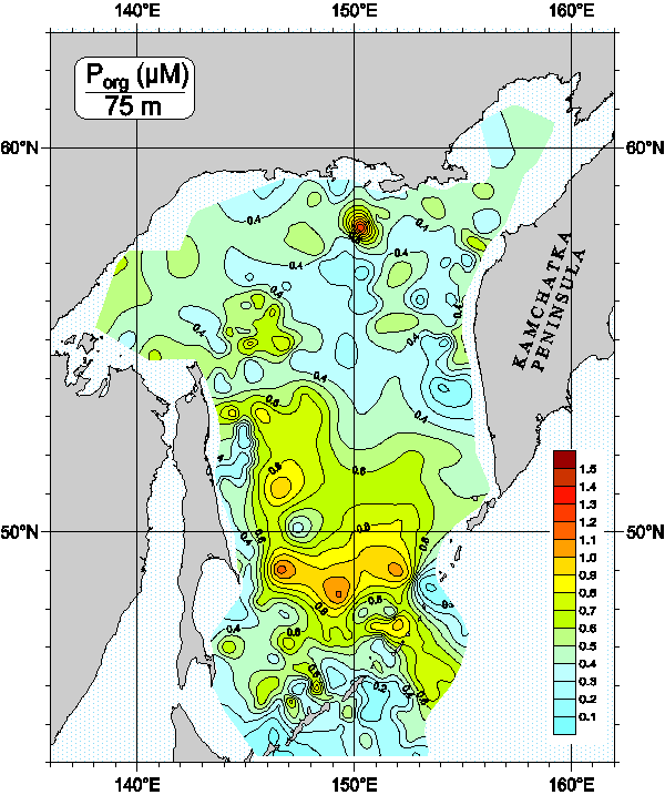 Okhots Sea. Organic Phosphorus distribution at 75m