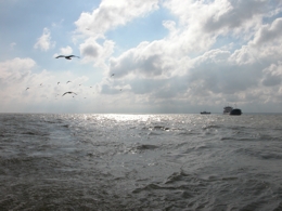 Azov Sea during summer