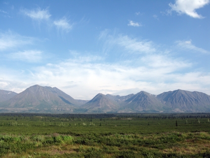 Denali Nat. Park, Jul. 2009