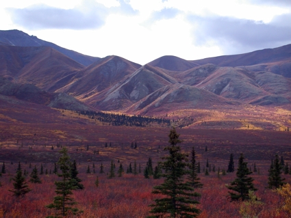 Denali Nat. Park, Sep. 2005