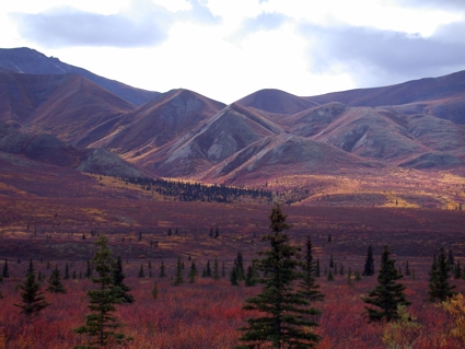 Denali Nat. Park, Sep. 2005