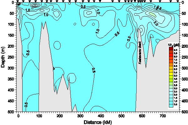 Okhotsk Sea. Section 1. Ammonia Nitrogen distribution