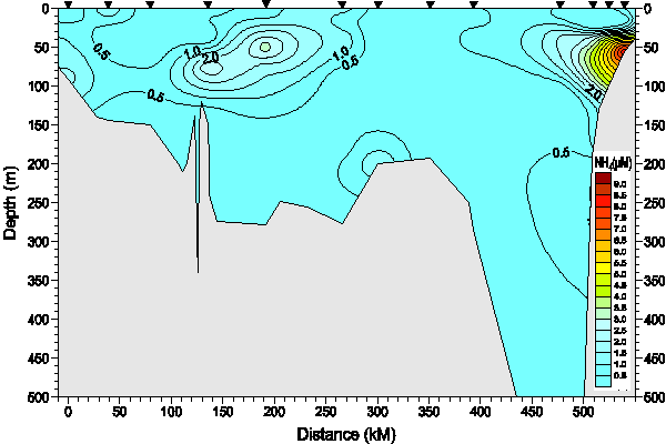 Okhotsk Sea. Section 7. Ammonia Nitrogen distribution