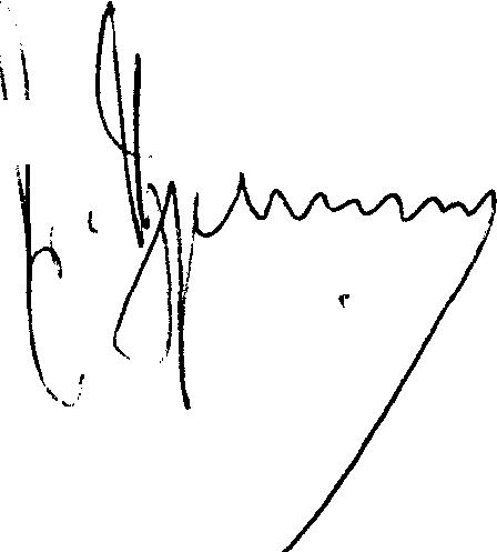 Yury Izrael's signature