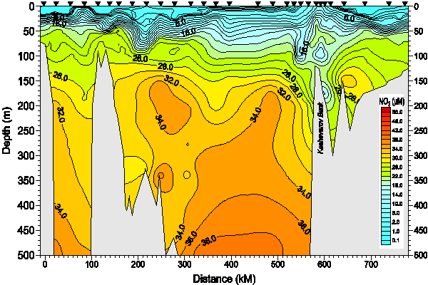 Okhotsk Sea. Section 1. Nitrate distribution