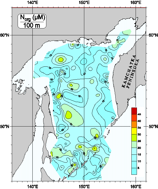 Okhots Sea. Organic Nitrogen distribution at 100m