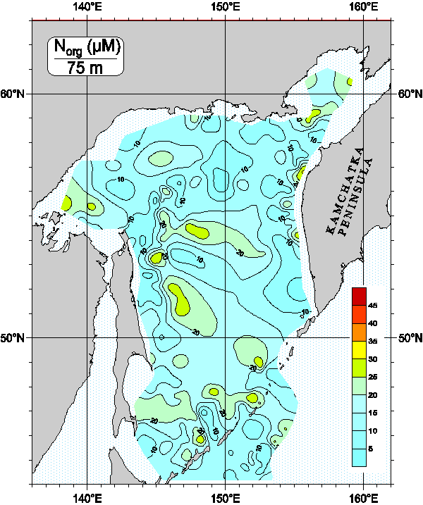 Okhots Sea. Organic Nitrogen distribution at 75m
