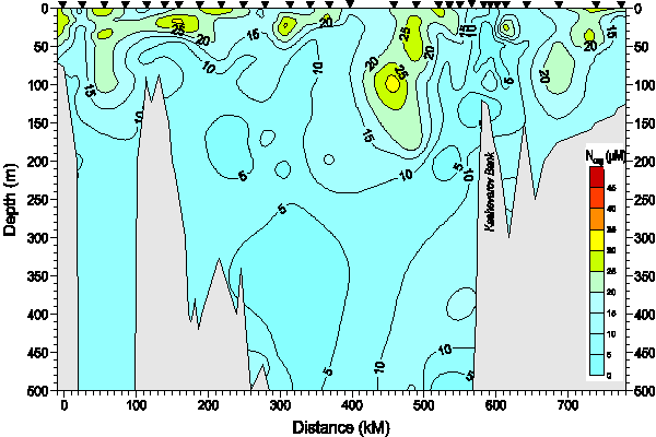 Okhotsk Sea. Section 1. Organic Nitrogen distribution