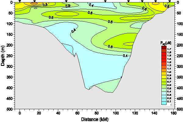 Okhotsk Sea. Section 3. Organic phosphorus distribution