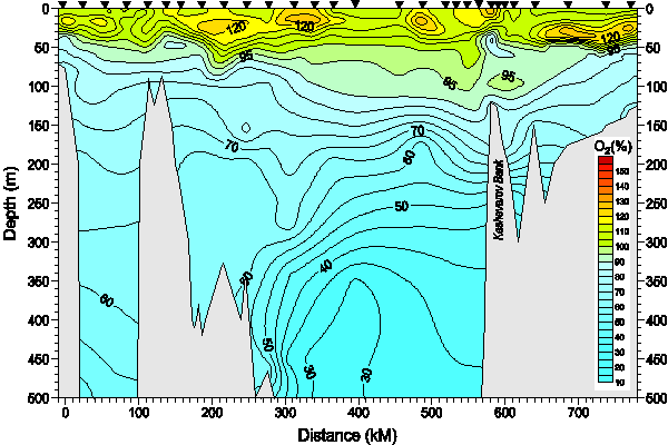 Okhotsk Sea. Section 1. Oxygen saturation distribution