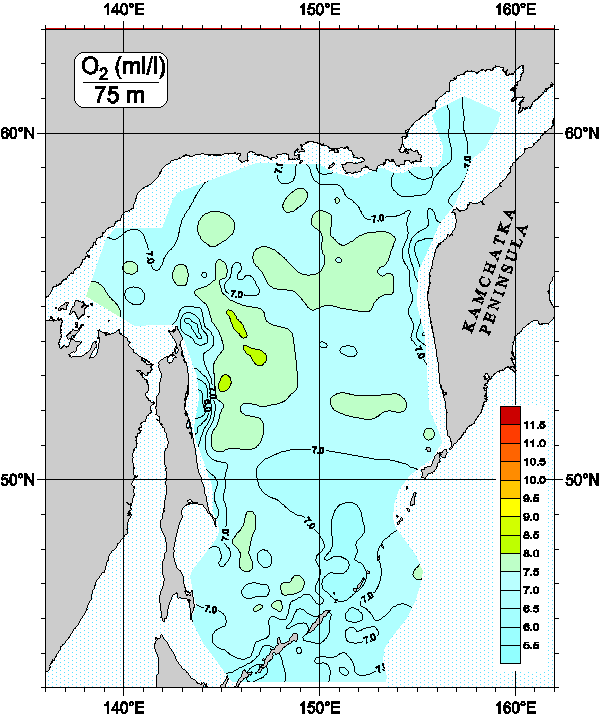 Okhots Sea. Oxygen distribution at 75m