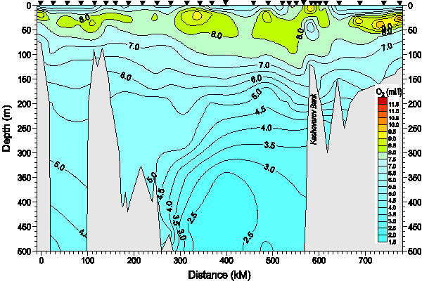 Okhotsk Sea. Section 1. Oxygen distribution