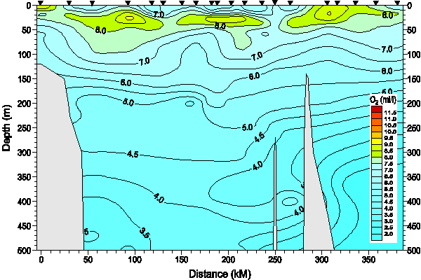 Okhotsk Sea. Section 5. Oxygen distribution