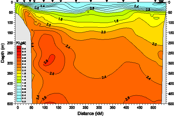 Okhotsk Sea. Section 4. Phosphate distribution