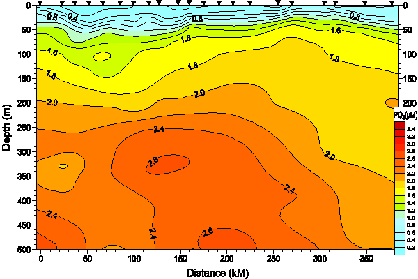 Okhotsk Sea. Section 5. Phosphate distribution