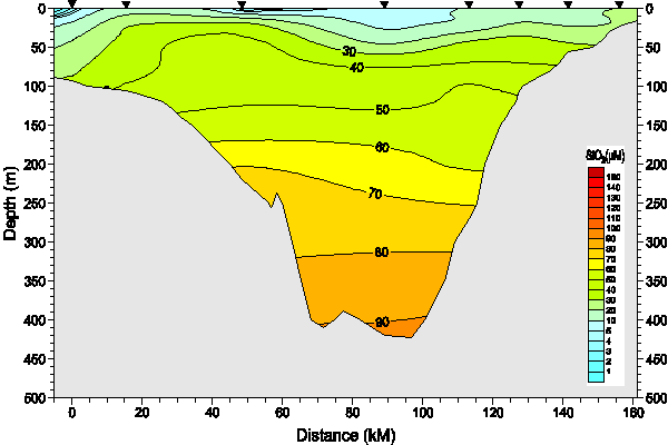 Okhotsk Sea. Section 3. Silicate distribution