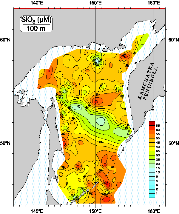 Okhots Sea. Silicate distribution at 100m