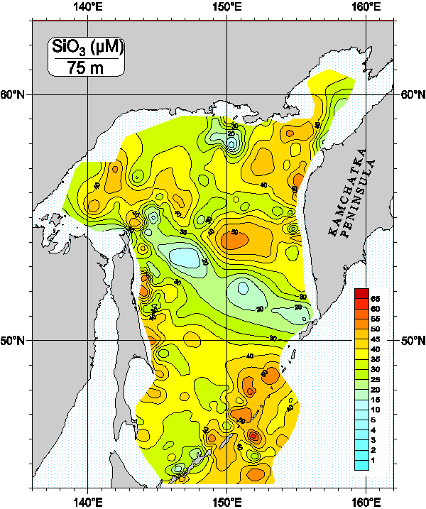 Okhots Sea. Silicate distribution at 75m